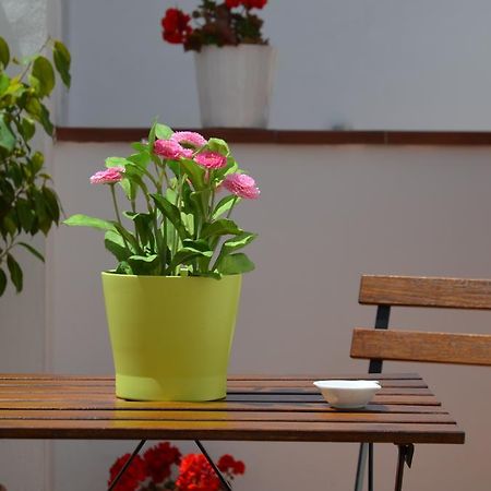 Apartamentos San Isidro 44 Granada Exteriér fotografie
